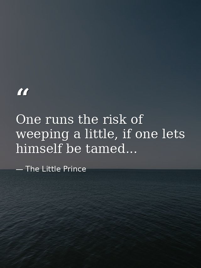 One runs the risk of weeping a little, if one lets himself be tamed... — The Little Prince