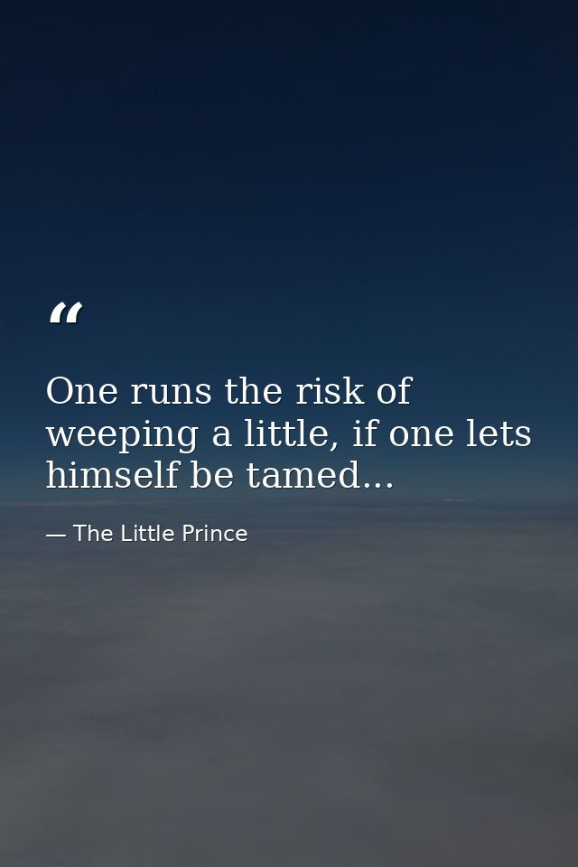 One runs the risk of weeping a little, if one lets himself be tamed... — The Little Prince
