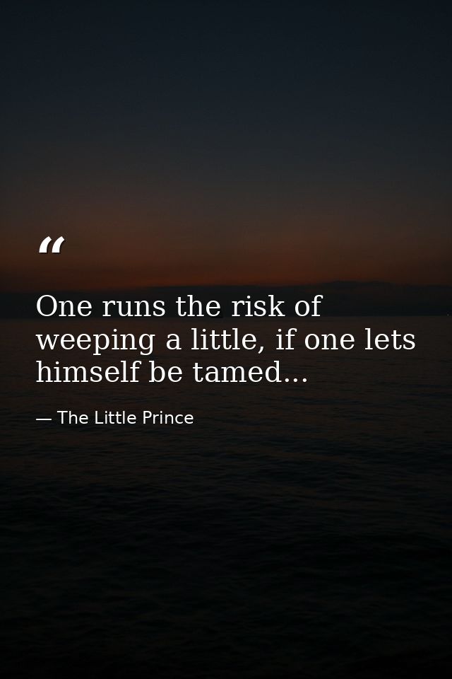 One runs the risk of weeping a little, if one lets himself be tamed... — The Little Prince