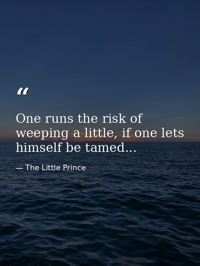 One runs the risk of weeping a little, if one lets himself be tamed... — The Little Prince