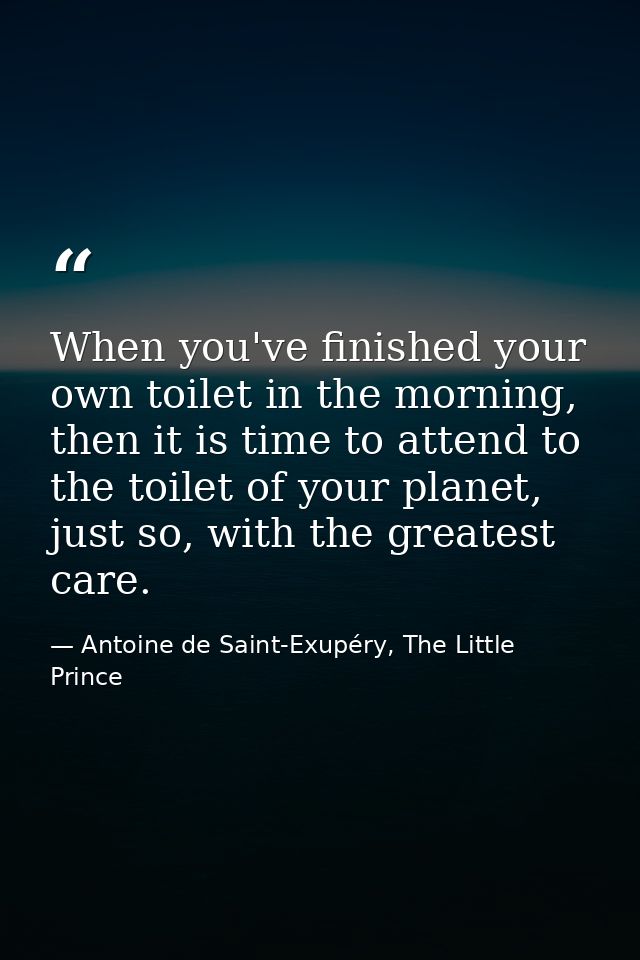 When you've finished your own toilet in the morning, then it is time to attend to the toilet of your planet, just so, wi — Antoine de Saint-Exupéry, The Little Prince