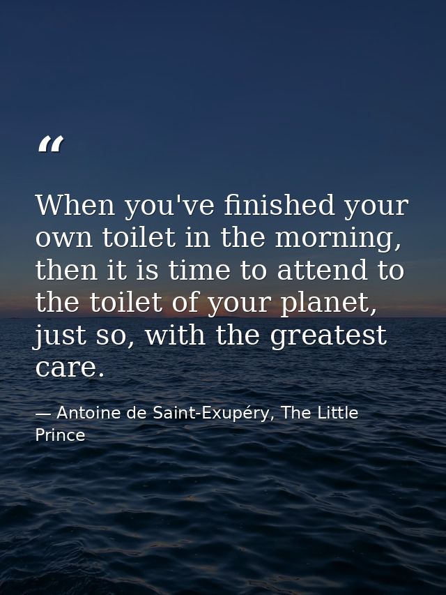 When you've finished your own toilet in the morning, then it is time to attend to the toilet of your planet, just so, wi — Antoine de Saint-Exupéry, The Little Prince