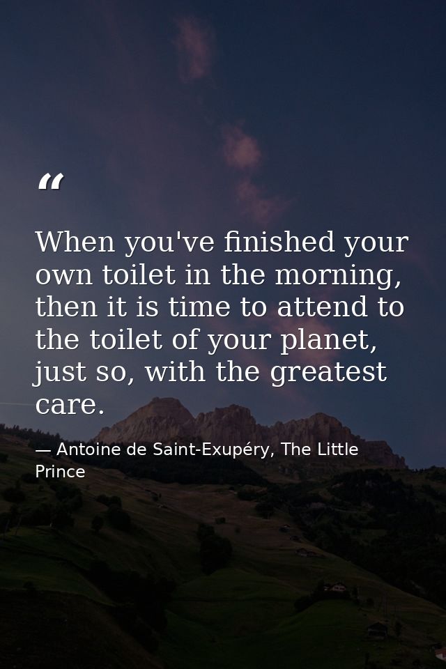 When you've finished your own toilet in the morning, then it is time to attend to the toilet of your planet, just so, wi — Antoine de Saint-Exupéry, The Little Prince