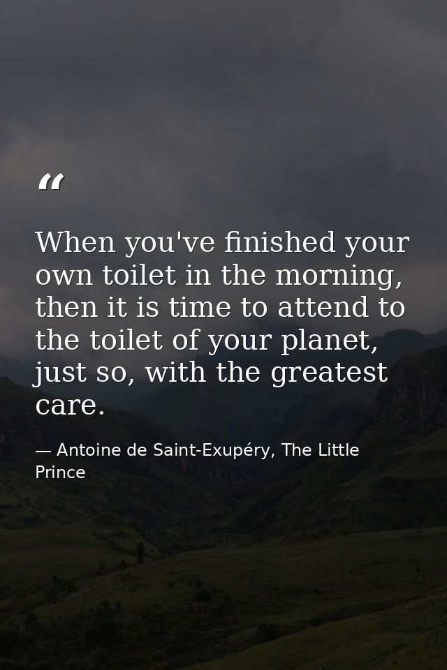 When you've finished your own toilet in the morning, then it is time to attend to the toilet of your planet, just so, wi — Antoine de Saint-Exupéry, The Little Prince