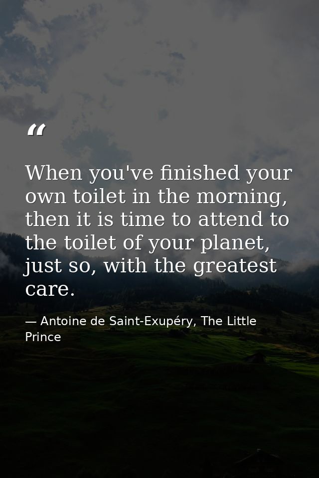 When you've finished your own toilet in the morning, then it is time to attend to the toilet of your planet, just so, wi — Antoine de Saint-Exupéry, The Little Prince