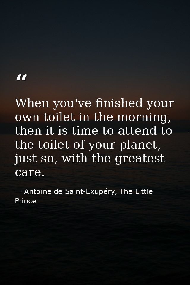 When you've finished your own toilet in the morning, then it is time to attend to the toilet of your planet, just so, wi — Antoine de Saint-Exupéry, The Little Prince
