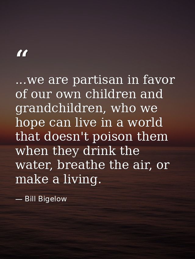 ...we are partisan in favor of our own children and grandchildren, who we hope can live in a world that doesn't poison t — Bill Bigelow