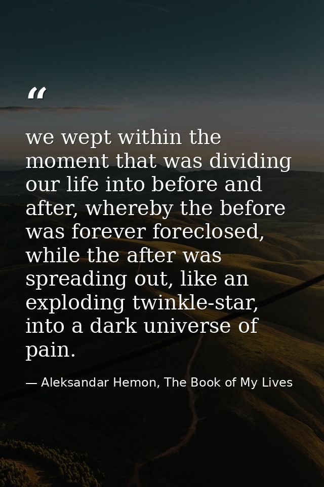 we wept within the moment that was dividing our life into before and after, whereby the before was forever foreclosed, w — Aleksandar Hemon, The Book of My Lives
