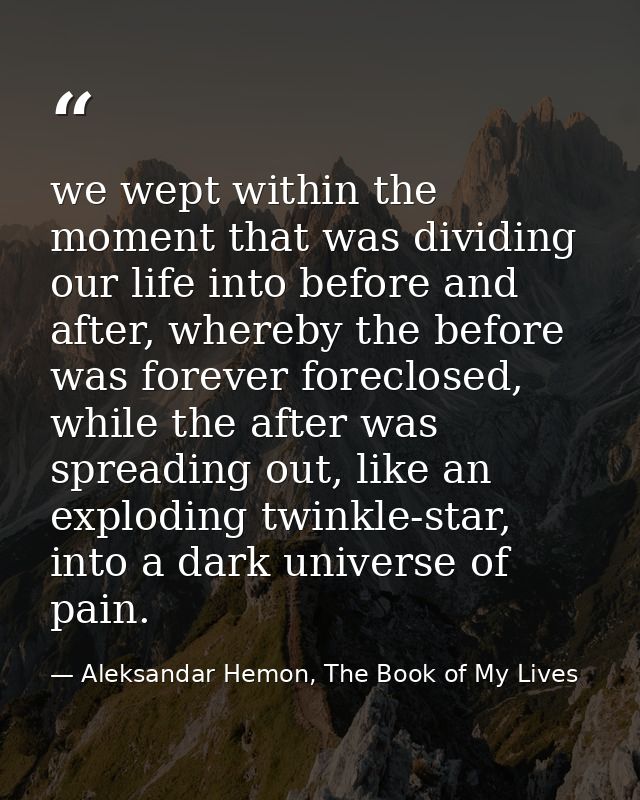 we wept within the moment that was dividing our life into before and after, whereby the before was forever foreclosed, w — Aleksandar Hemon, The Book of My Lives