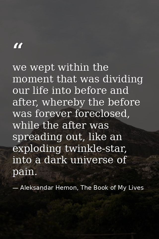 we wept within the moment that was dividing our life into before and after, whereby the before was forever foreclosed, w — Aleksandar Hemon, The Book of My Lives