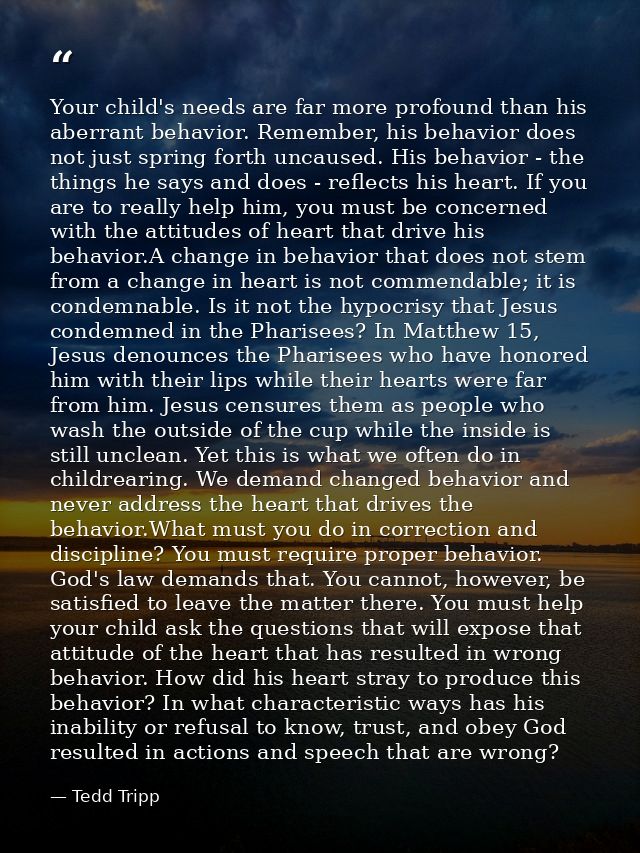 Your child's needs are far more profound than his aberrant behavior. Remember, his behavior does not just spring forth u — Tedd Tripp