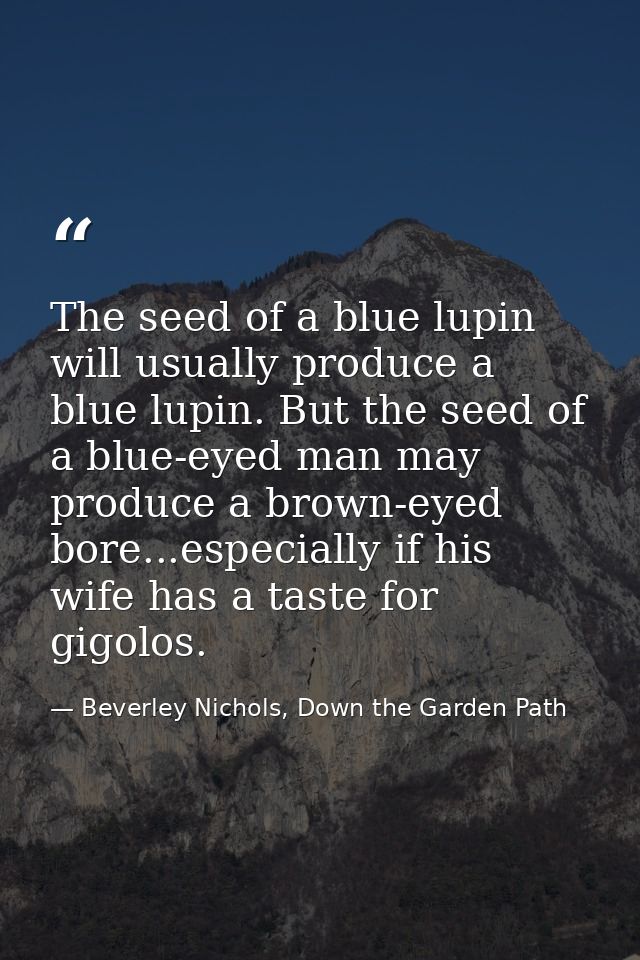 The seed of a blue lupin will usually produce a blue lupin. But the seed of a blue-eyed man may produce a brown-eyed bor — Beverley Nichols, Down the Garden Path