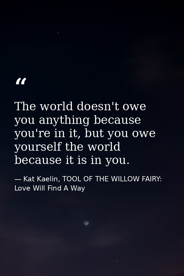 The world doesn't owe you anything because you're in it, but you owe yourself the world because it is in you. — Kat Kaelin, TOOL OF THE WILLOW FAIRY: Love Will Find A Way