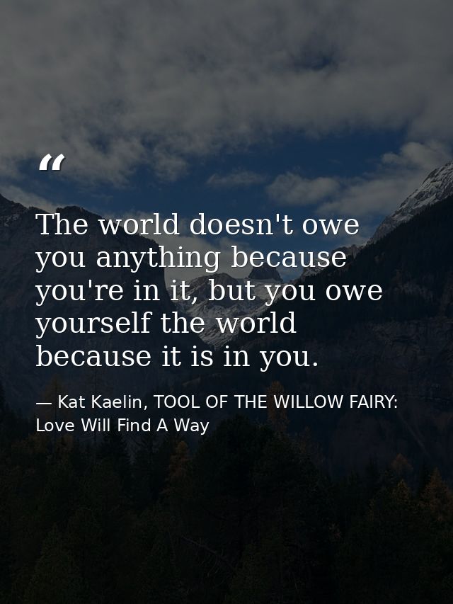 The world doesn't owe you anything because you're in it, but you owe yourself the world because it is in you. — Kat Kaelin, TOOL OF THE WILLOW FAIRY: Love Will Find A Way