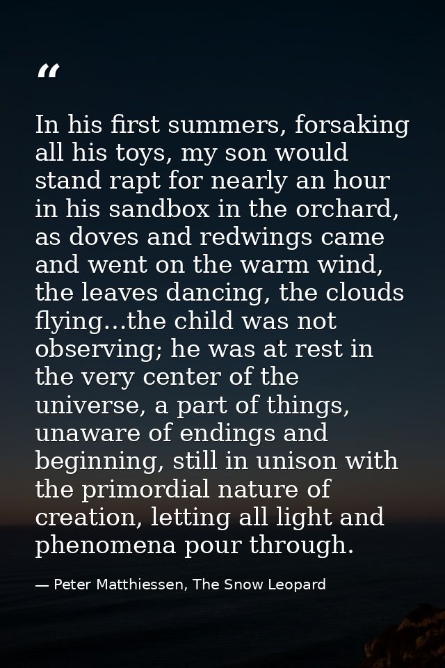 In his first summers, forsaking all his toys, my son would stand rapt for nearly an hour in his sandbox in the orchard,  — Peter Matthiessen, The Snow Leopard
