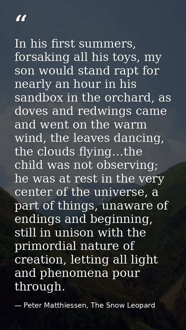 In his first summers, forsaking all his toys, my son would stand rapt for nearly an hour in his sandbox in the orchard,  — Peter Matthiessen, The Snow Leopard