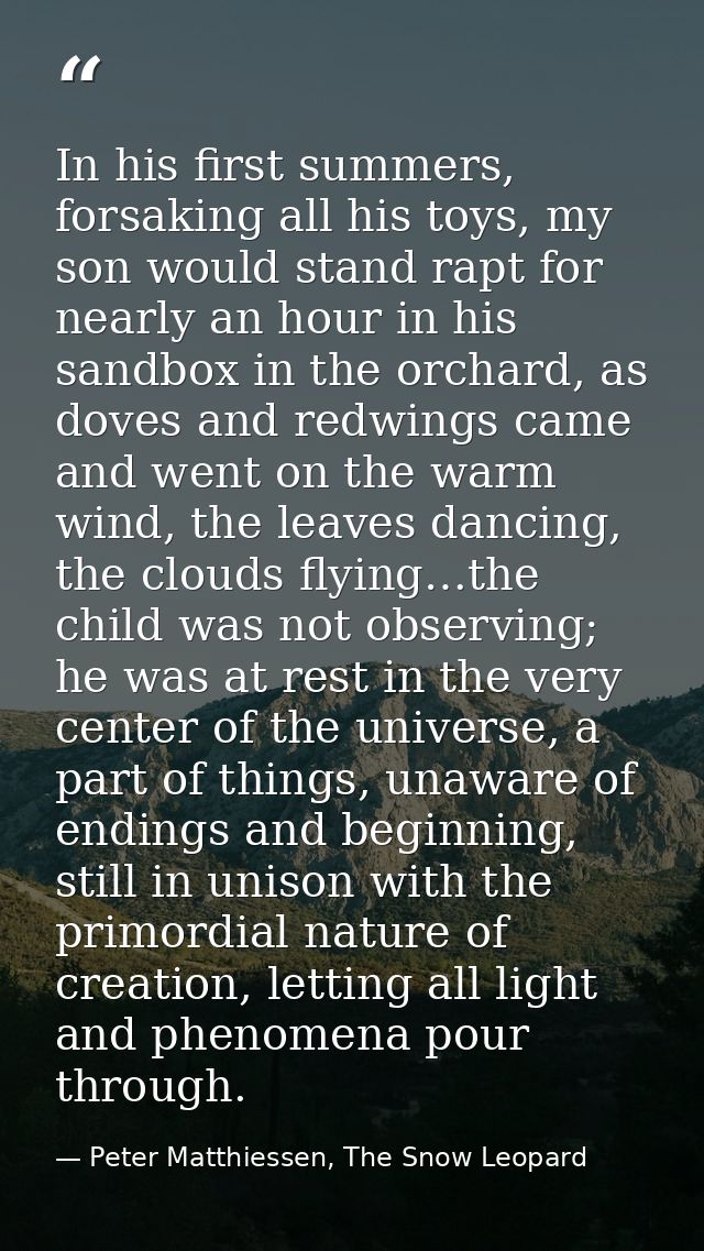In his first summers, forsaking all his toys, my son would stand rapt for nearly an hour in his sandbox in the orchard,  — Peter Matthiessen, The Snow Leopard