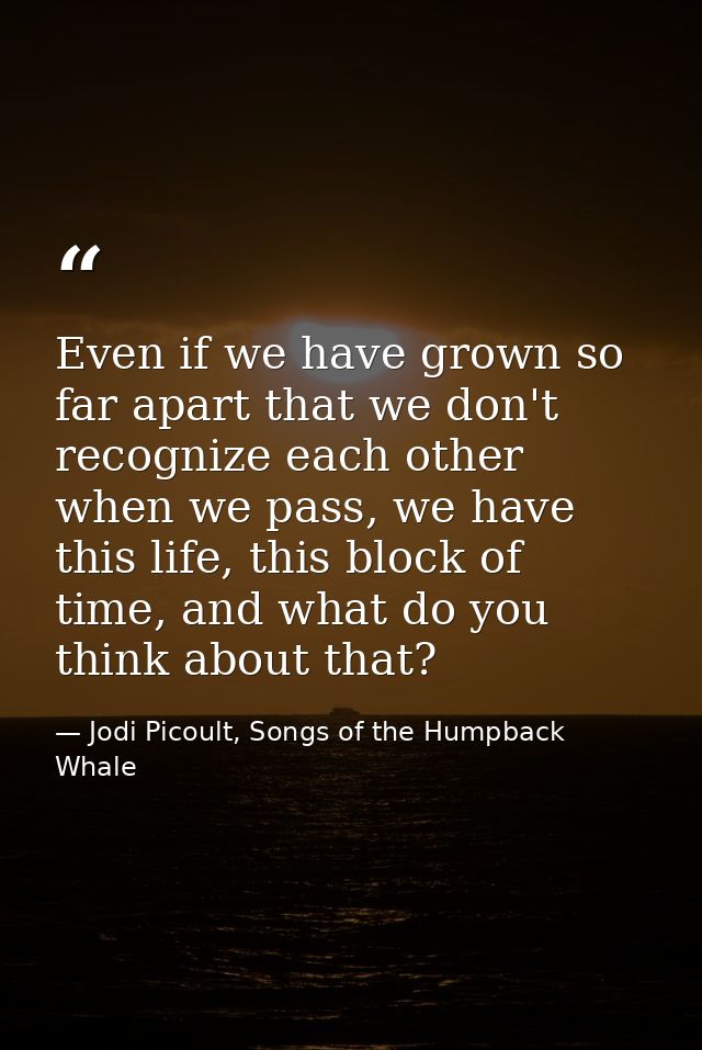 Even if we have grown so far apart that we don't recognize each other when we pass, we have this life, this block of tim — Jodi Picoult, Songs of the Humpback Whale
