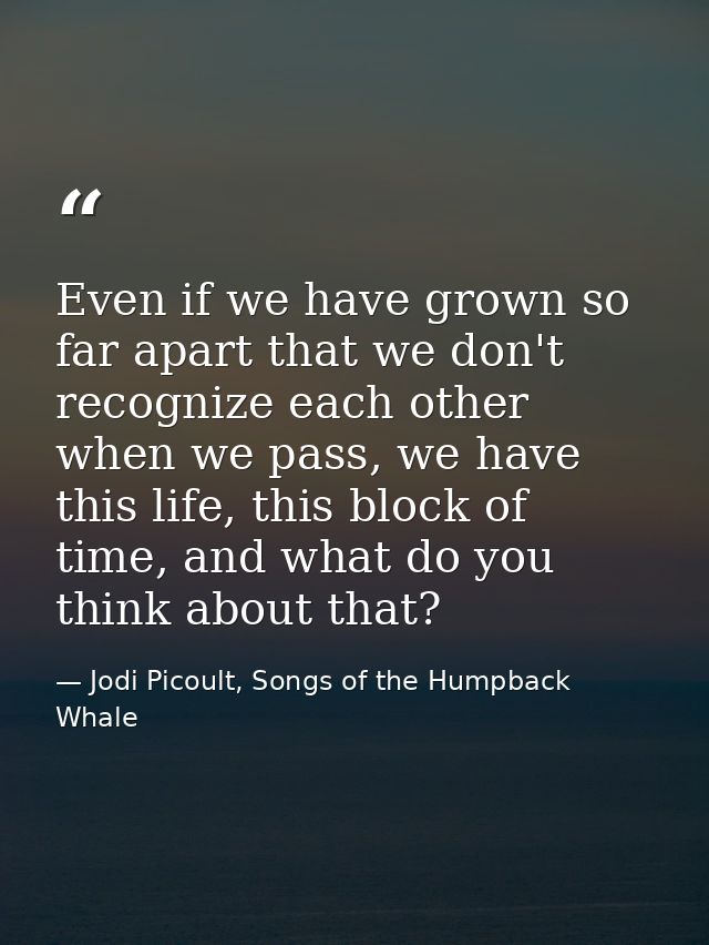 Even if we have grown so far apart that we don't recognize each other when we pass, we have this life, this block of tim — Jodi Picoult, Songs of the Humpback Whale
