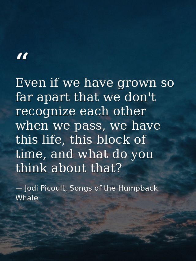 Even if we have grown so far apart that we don't recognize each other when we pass, we have this life, this block of tim — Jodi Picoult, Songs of the Humpback Whale