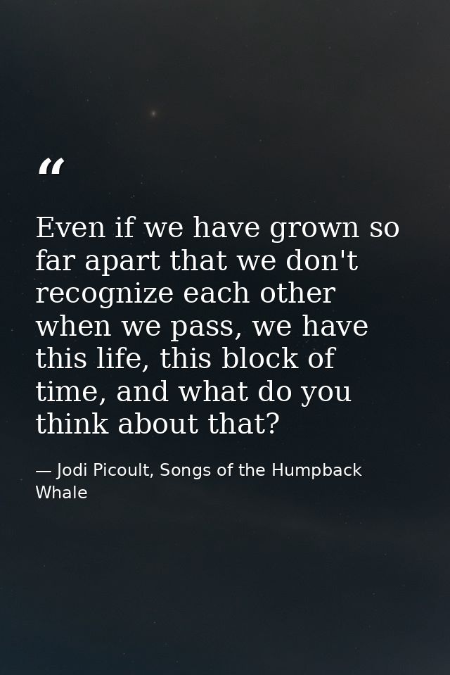 Even if we have grown so far apart that we don't recognize each other when we pass, we have this life, this block of tim — Jodi Picoult, Songs of the Humpback Whale