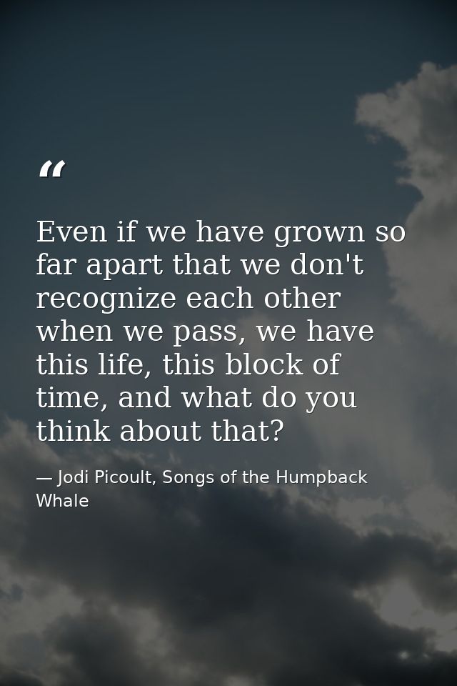 Even if we have grown so far apart that we don't recognize each other when we pass, we have this life, this block of tim — Jodi Picoult, Songs of the Humpback Whale