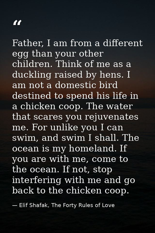 Father, I am from a different egg than your other children. Think of me as a duckling raised by hens. I am not a domesti — Elif Shafak, The Forty Rules of Love