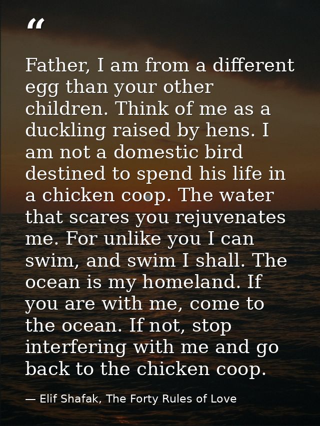 Father, I am from a different egg than your other children. Think of me as a duckling raised by hens. I am not a domesti — Elif Shafak, The Forty Rules of Love