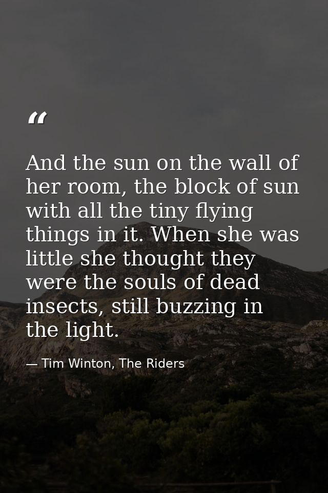 And the sun on the wall of her room, the block of sun with all the tiny flying things in it. When she was little she tho — Tim Winton, The Riders