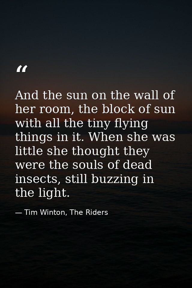And the sun on the wall of her room, the block of sun with all the tiny flying things in it. When she was little she tho — Tim Winton, The Riders