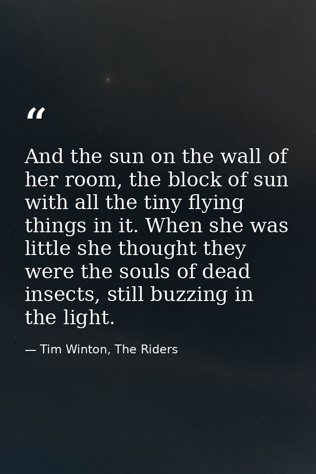And the sun on the wall of her room, the block of sun with all the tiny flying things in it. When she was little she tho — Tim Winton, The Riders