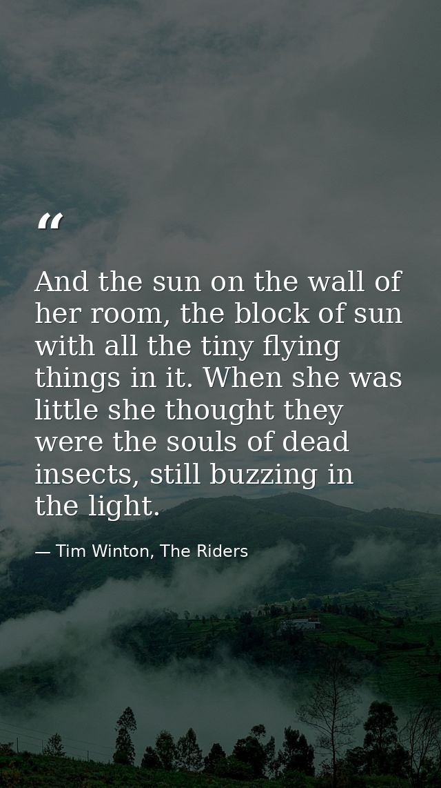 And the sun on the wall of her room, the block of sun with all the tiny flying things in it. When she was little she tho — Tim Winton, The Riders