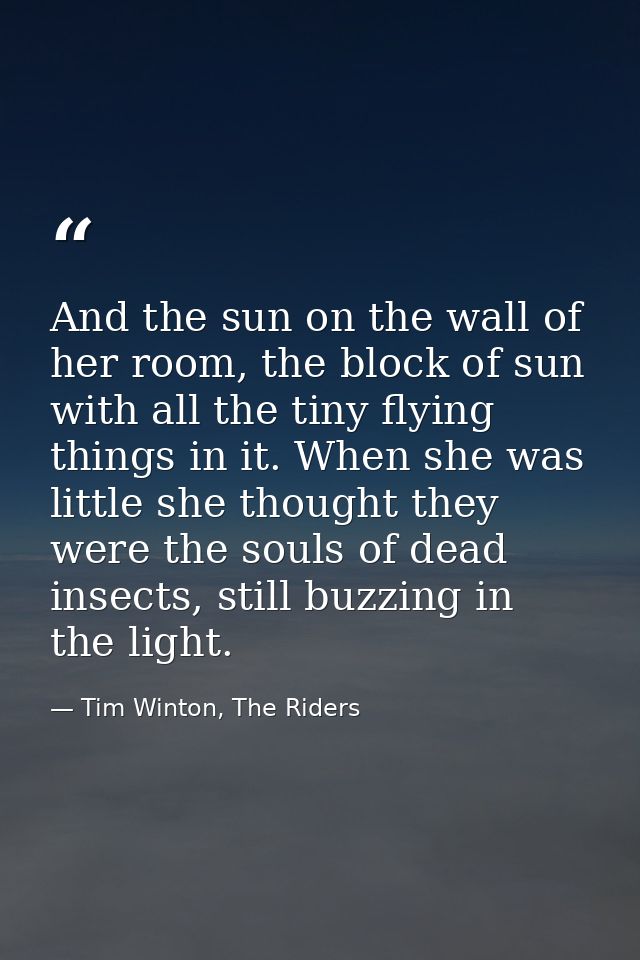 And the sun on the wall of her room, the block of sun with all the tiny flying things in it. When she was little she tho — Tim Winton, The Riders