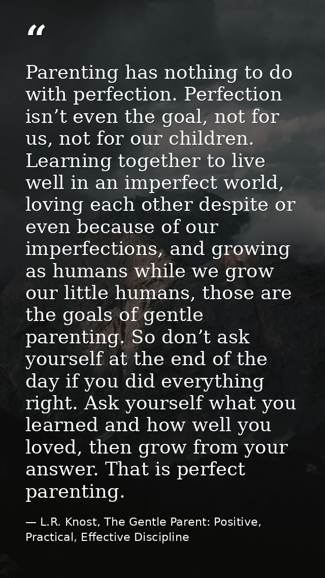 Parenting has nothing to do with perfection. Perfection isn’t even the goal, not for us, not for our children. Learning  — L.R. Knost, The Gentle Parent: Positive, Practical, Effective Discipline