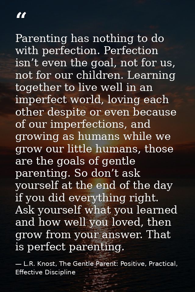 Parenting has nothing to do with perfection. Perfection isn’t even the goal, not for us, not for our children. Learning  — L.R. Knost, The Gentle Parent: Positive, Practical, Effective Discipline