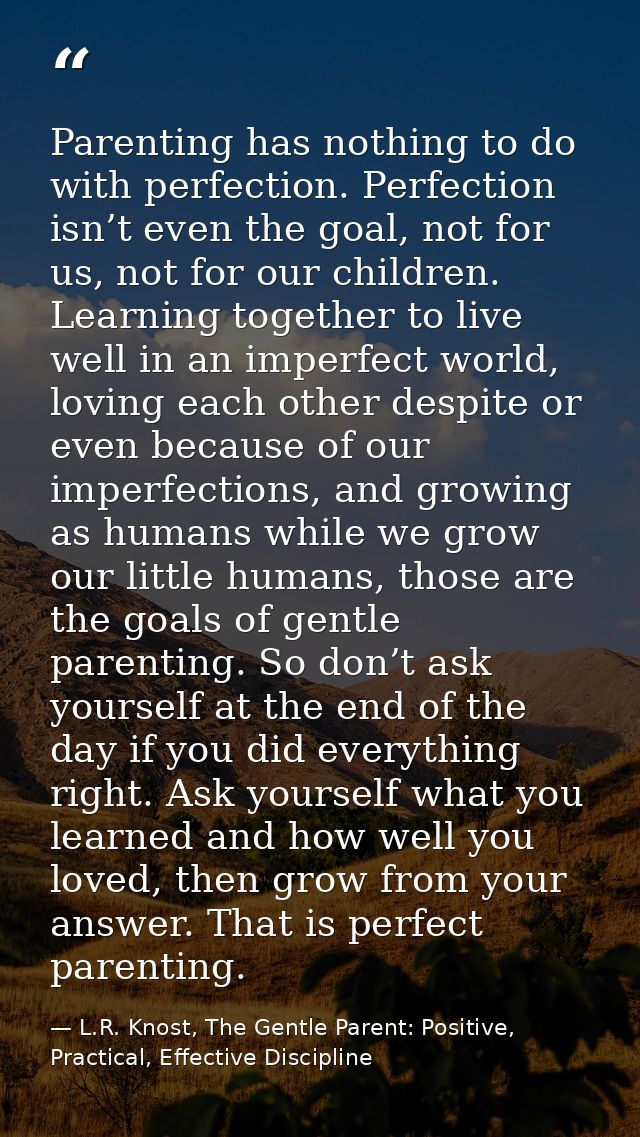 Parenting has nothing to do with perfection. Perfection isn’t even the goal, not for us, not for our children. Learning  — L.R. Knost, The Gentle Parent: Positive, Practical, Effective Discipline