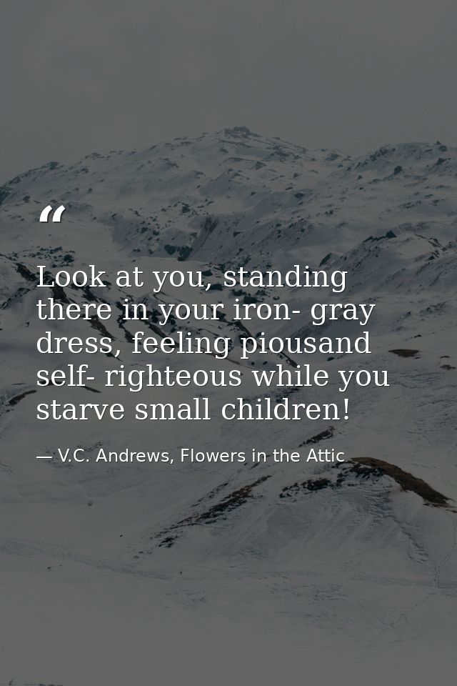 Look at you, standing there in your iron- gray dress, feeling piousand self- righteous while you starve small children! — V.C. Andrews, Flowers in the Attic