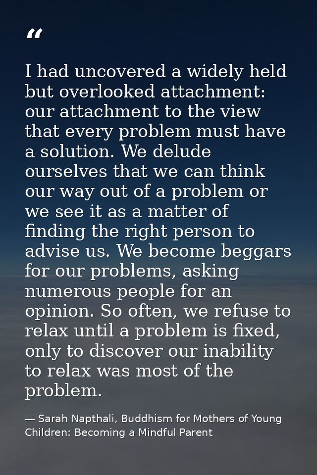 I had uncovered a widely held but overlooked attachment: our attachment to the view that every problem must have a solut — Sarah Napthali, Buddhism for Mothers of Young Children: Becoming a Mindful Parent