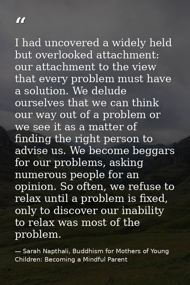 I had uncovered a widely held but overlooked attachment: our attachment to the view that every problem must have a solut — Sarah Napthali, Buddhism for Mothers of Young Children: Becoming a Mindful Parent
