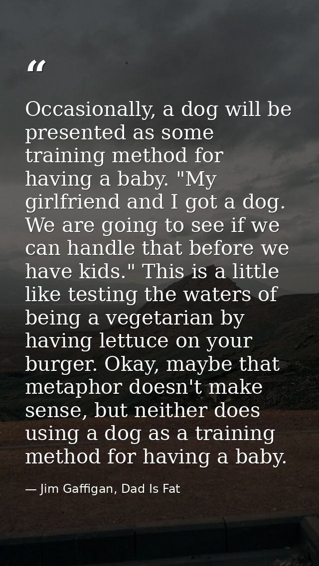 Occasionally, a dog will be presented as some training method for having a baby. "My girlfriend and I got a dog. We are  — Jim Gaffigan, Dad Is Fat