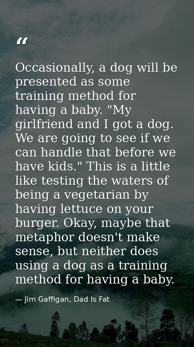 Occasionally, a dog will be presented as some training method for having a baby. "My girlfriend and I got a dog. We are  — Jim Gaffigan, Dad Is Fat