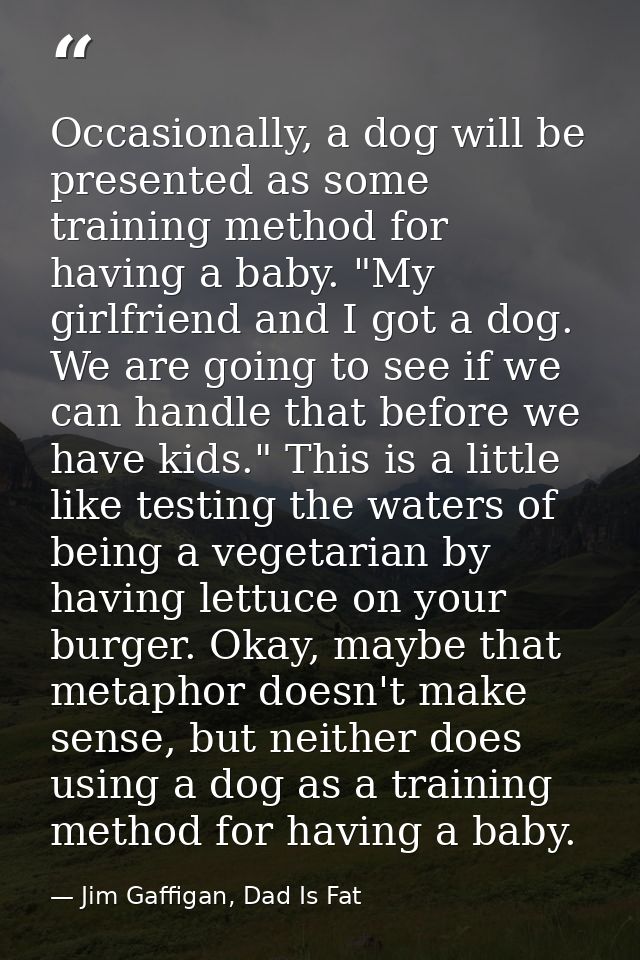 Occasionally, a dog will be presented as some training method for having a baby. "My girlfriend and I got a dog. We are  — Jim Gaffigan, Dad Is Fat