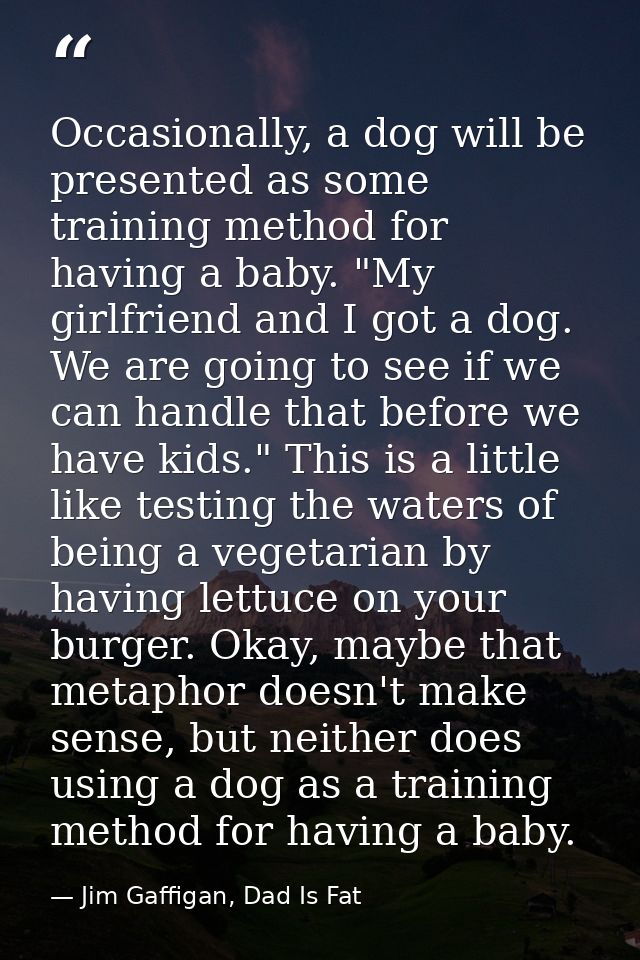 Occasionally, a dog will be presented as some training method for having a baby. "My girlfriend and I got a dog. We are  — Jim Gaffigan, Dad Is Fat