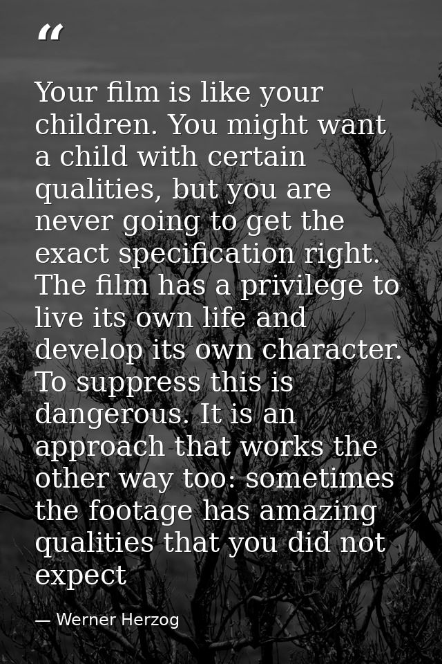 Your film is like your children. You might want a child with certain qualities, but you are never going to get the exact — Werner Herzog