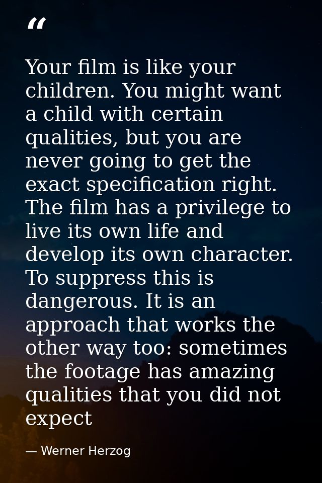 Your film is like your children. You might want a child with certain qualities, but you are never going to get the exact — Werner Herzog
