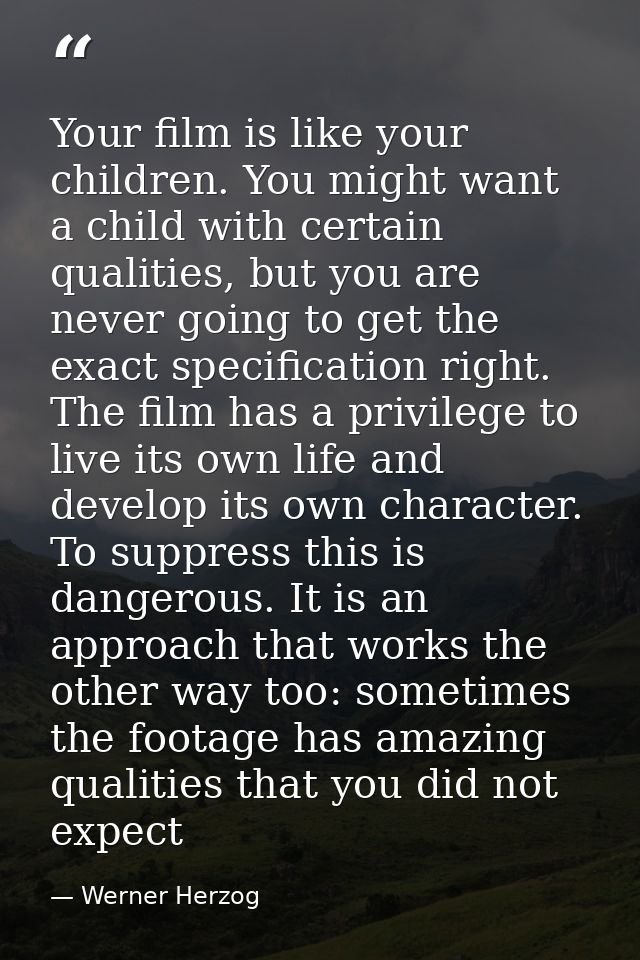 Your film is like your children. You might want a child with certain qualities, but you are never going to get the exact — Werner Herzog