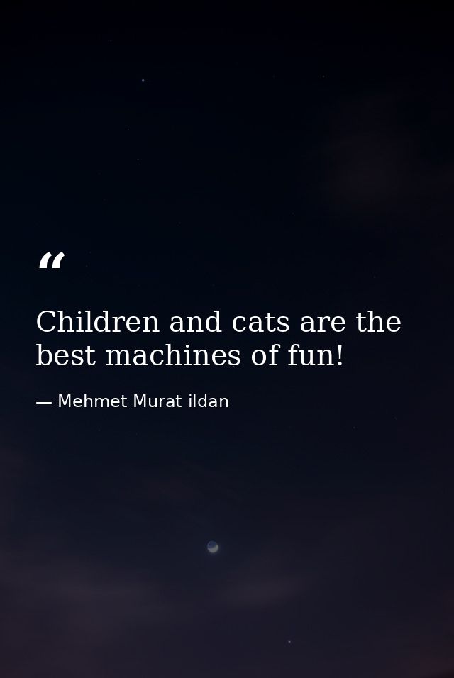 Children and cats are the best machines of fun! — Mehmet Murat ildan