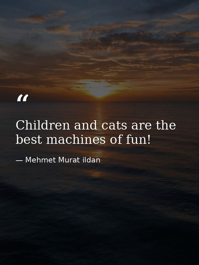 Children and cats are the best machines of fun! — Mehmet Murat ildan