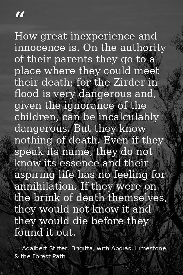 How great inexperience and innocence is. On the authority of their parents they go to a place where they could meet thei — Adalbert Stifter, Brigitta, with Abdias, Limestone & the Forest Path
