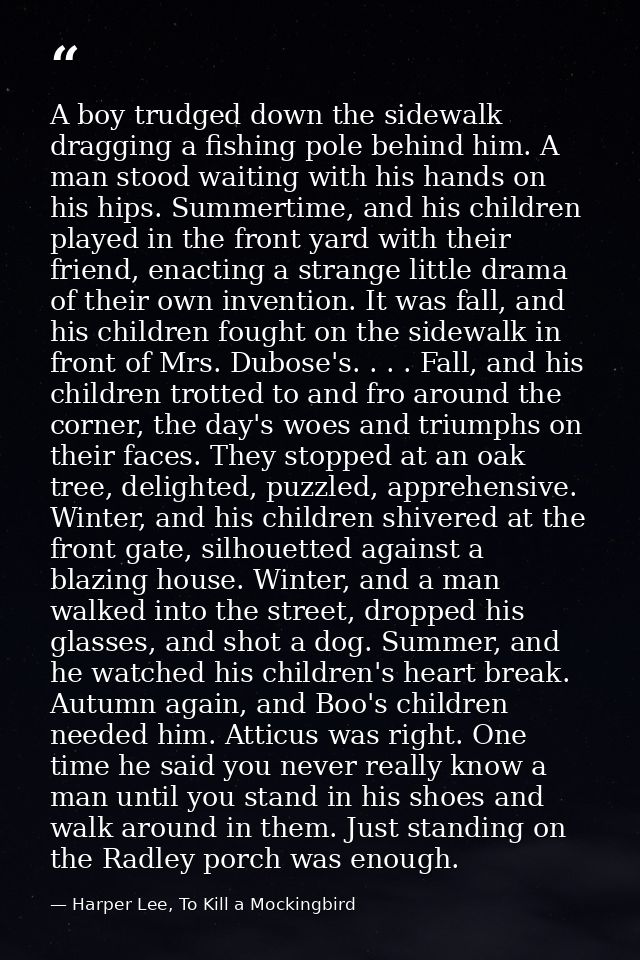 A boy trudged down the sidewalk dragging a fishing pole behind him. A man stood waiting with his hands on his hips. Summ — Harper Lee, To Kill a Mockingbird